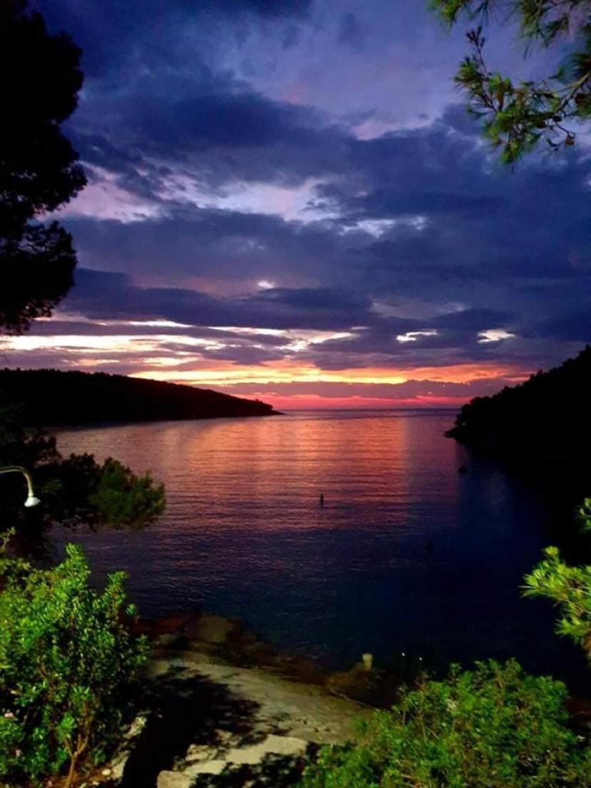 Terra Nostra Hvar Appartement
