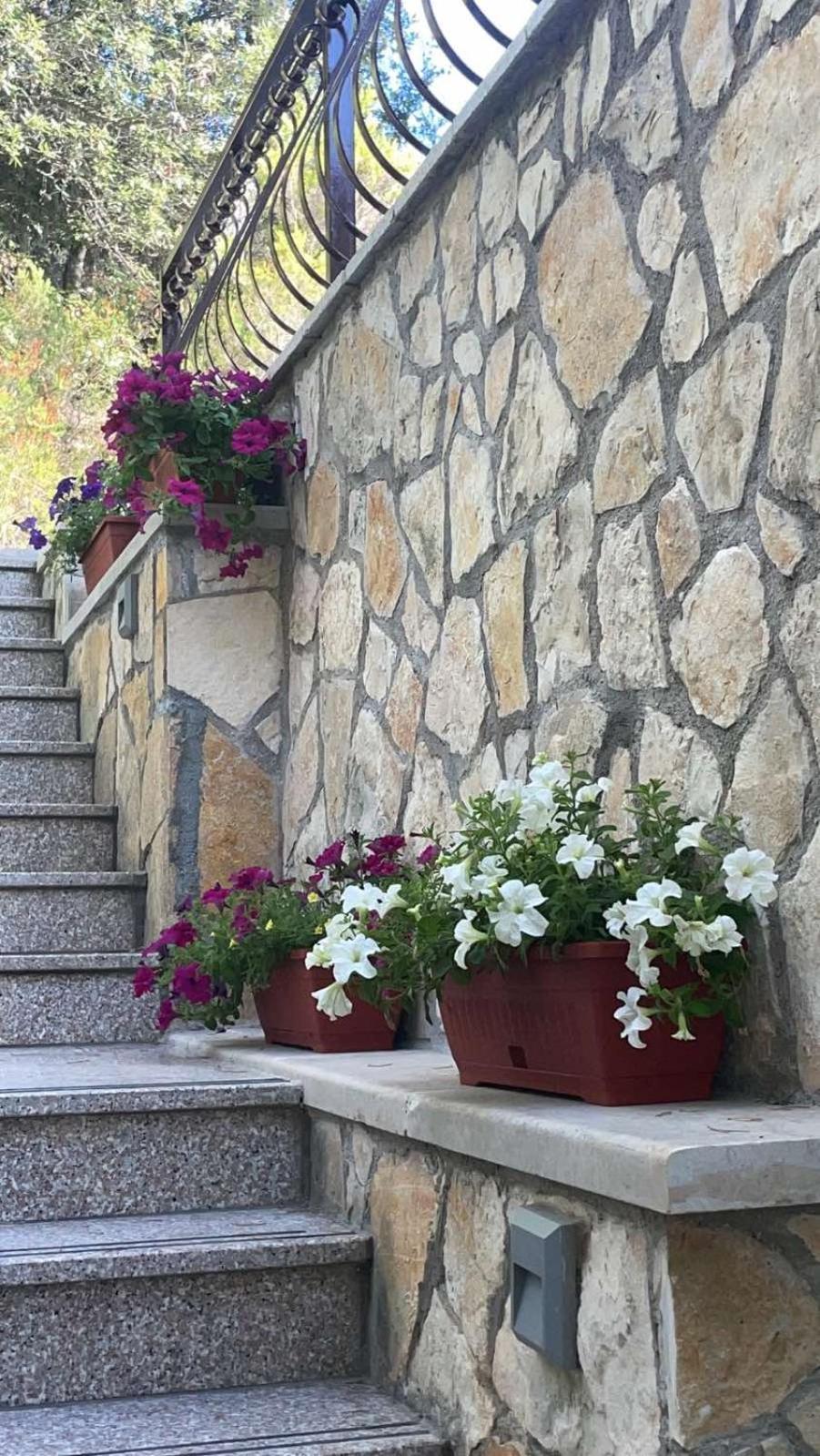 Appartement Terra Nostra Hvar Hvar Town