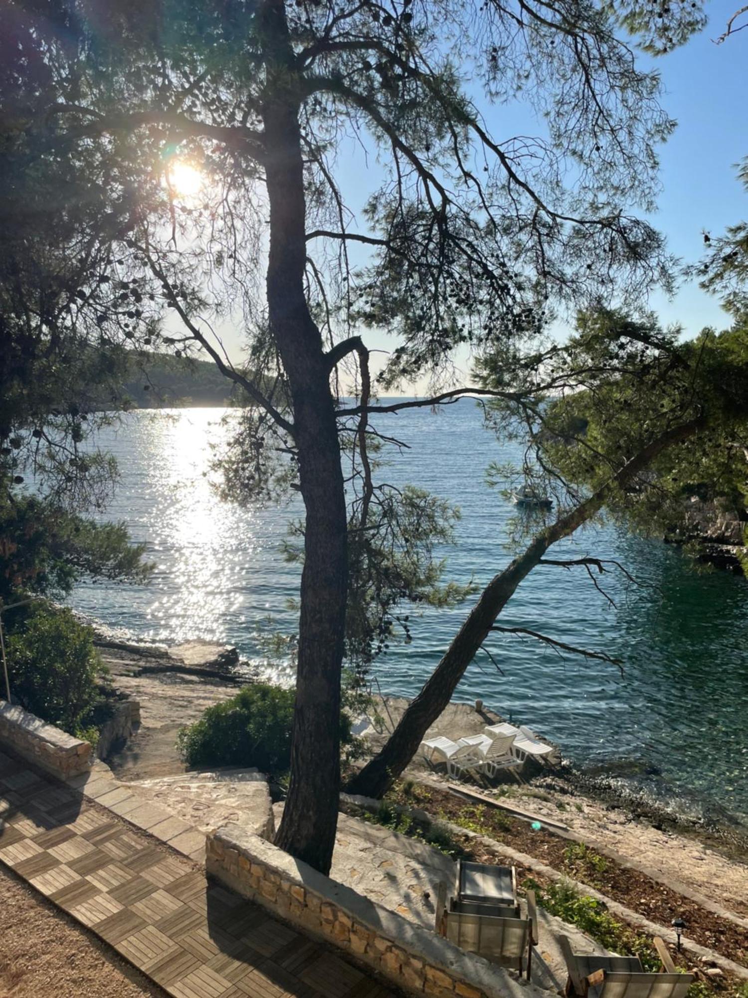 Appartement Terra Nostra Hvar